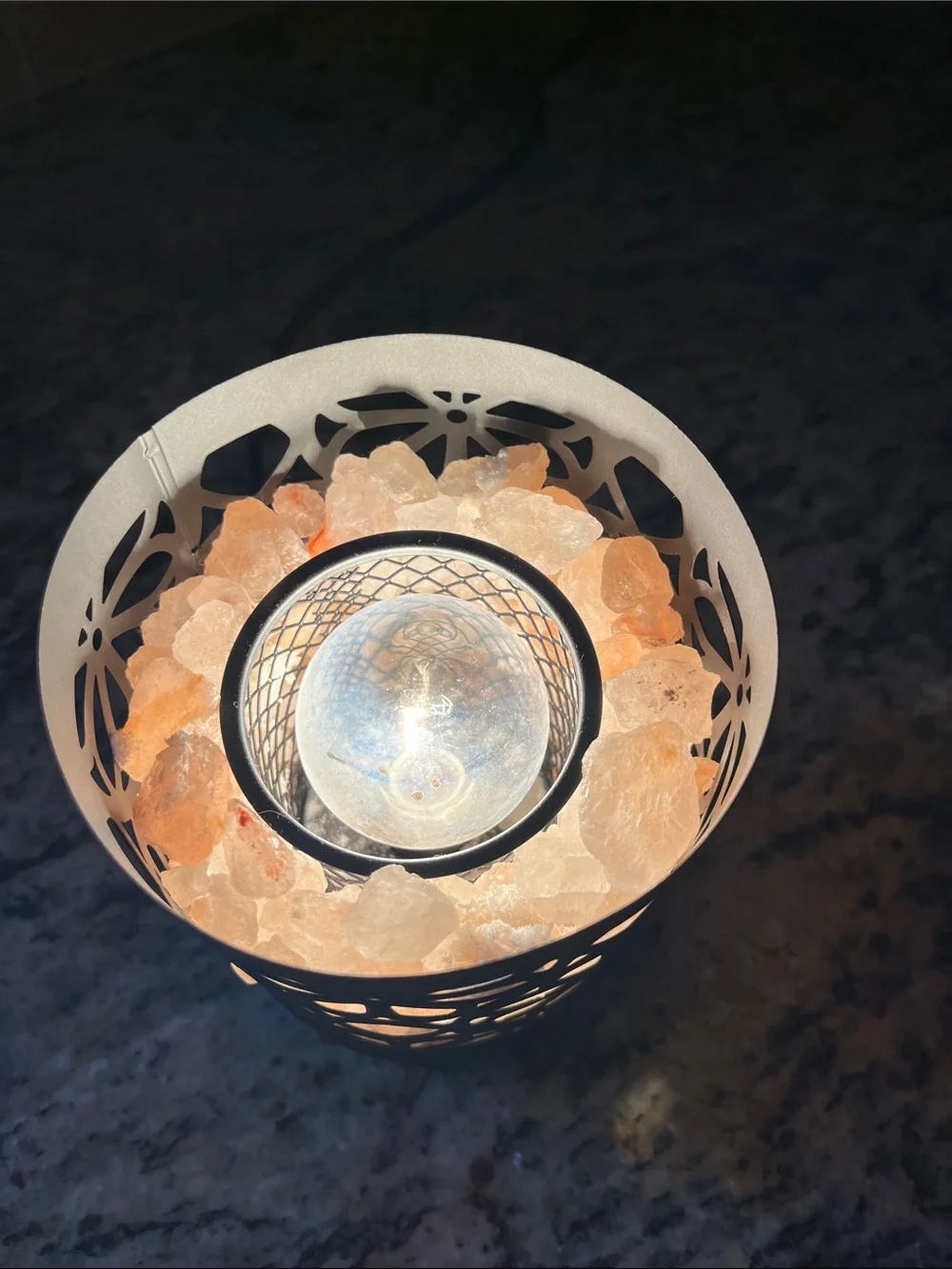 Himalayan Salt Lamp Electric Fragrance Warmer in Black Floral Cutout